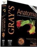 GRAY'S ANATOMIA - 2010