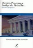 DIREITO, PROCESSO E JUSTIÇA DO TRABALHO - PRINCÍPIOS E PERSP