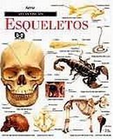 ESQUELETOS - 1997