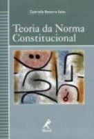 TEORIA DA NORMA CONSTITUCIONAL  - (QUEIMA DE ESTOQUE) - 2004