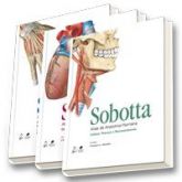 COLEÇÃO SOBOTTA / ATLAS DE ANATOMIA HUM